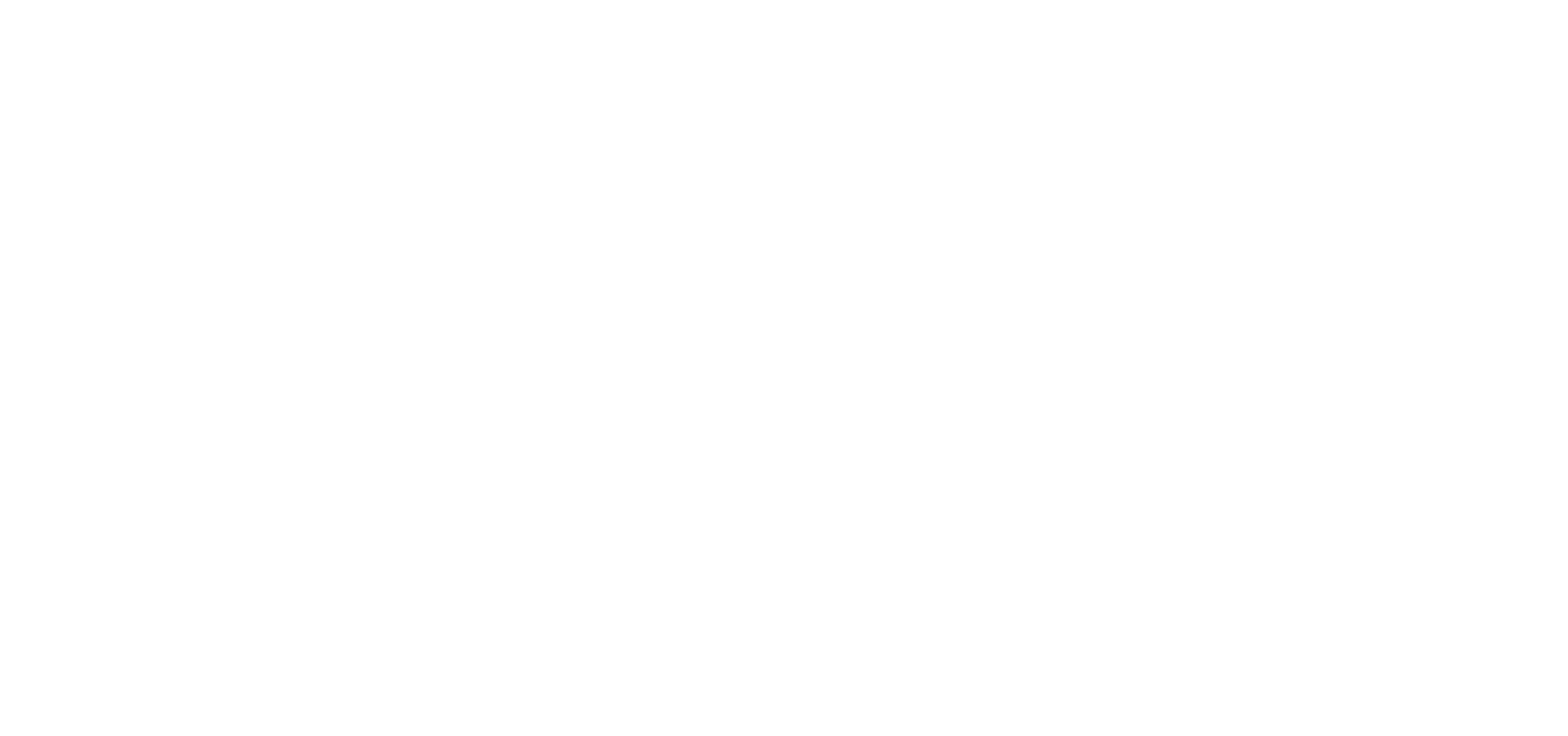 megacarrier