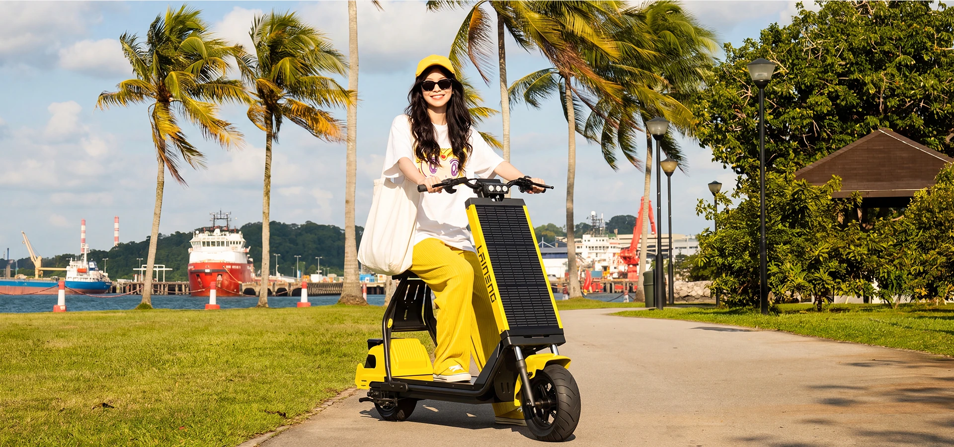 Laineng S108 with solar panel charging in sunlight